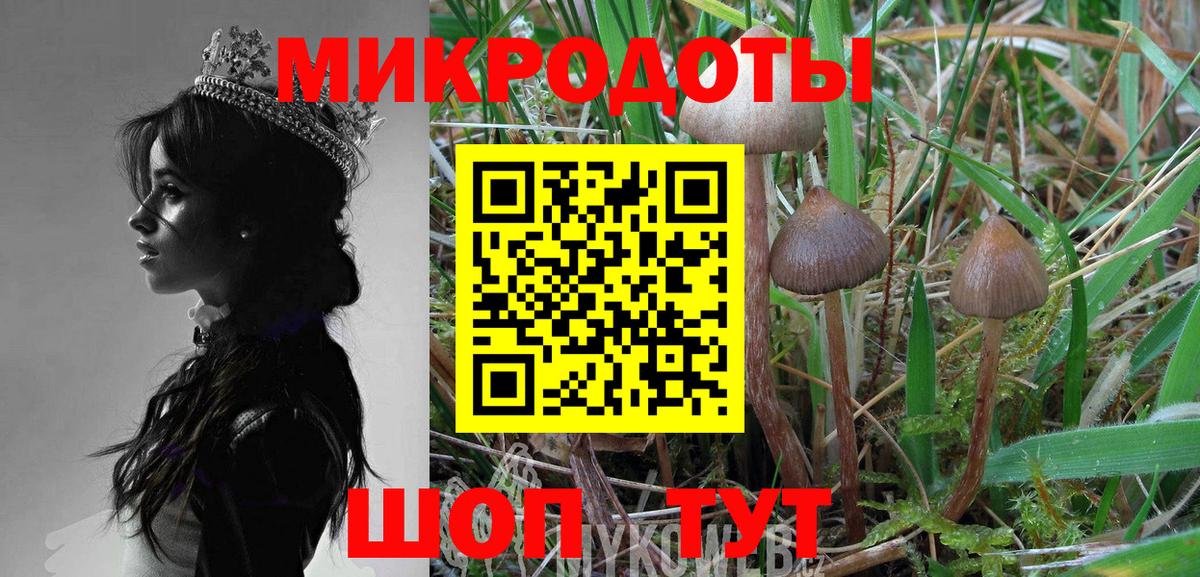 Галлюциногенные грибы мицелий Майский