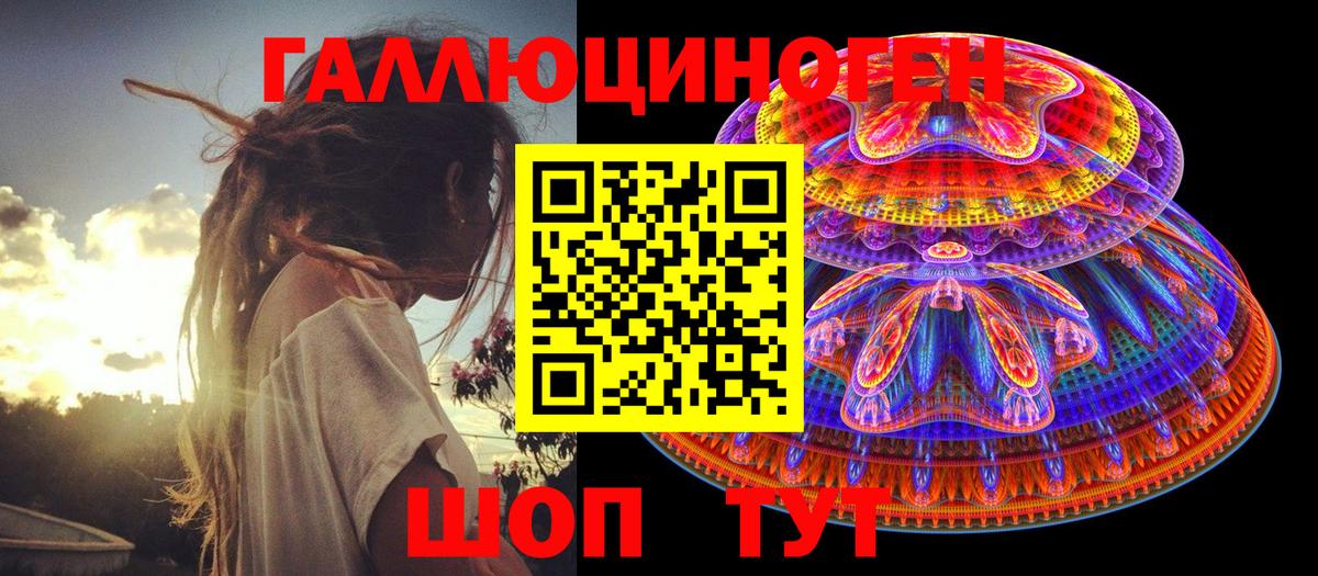 Галлюциногенные грибы Psilocybe  Майский 