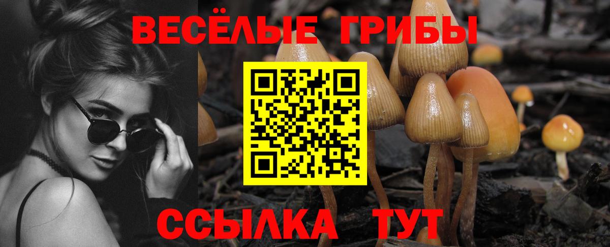 даркнет сайт  Псилоцибиновые грибы GOLDEN TEACHER  Майский  Вход с VPN  Галлюциногенные грибы прущие грибы 